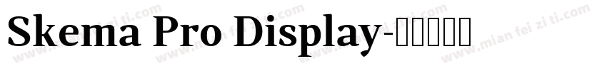 Skema Pro Display字体转换